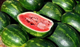 网红吃瓜爆料大全,揭秘娱乐圈幕后真相